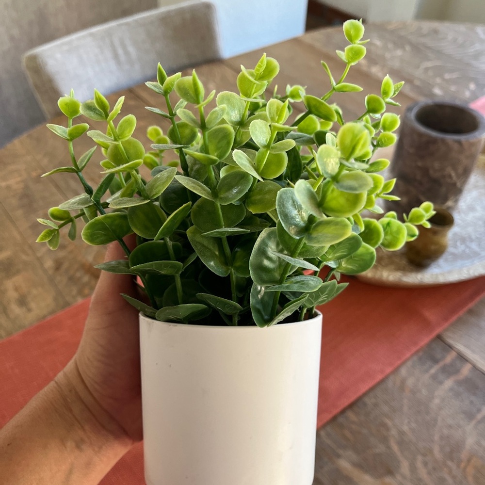 Faux eucalyptus Plant in White Pot - Picture 5 of 5
